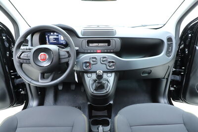 Fiat Panda Tageszulassung