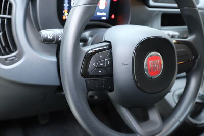 Fiat Panda Tageszulassung
