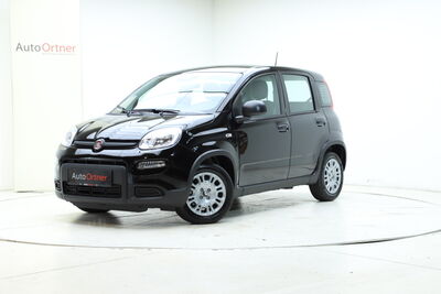 Fiat Panda Tageszulassung