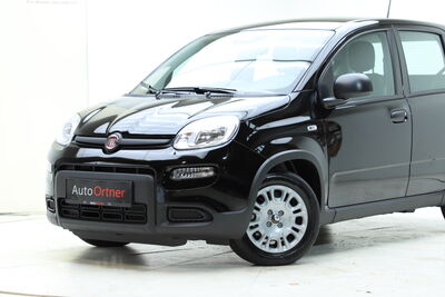Fiat Panda Tageszulassung