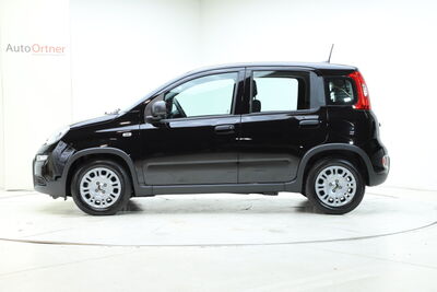 Fiat Panda Tageszulassung