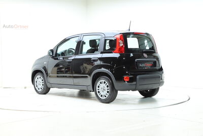 Fiat Panda Tageszulassung