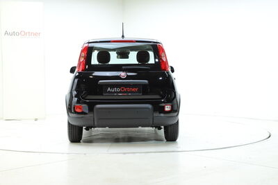 Fiat Panda Tageszulassung