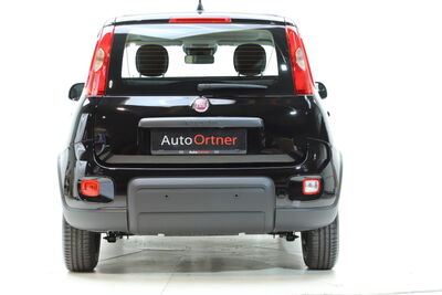 Fiat Panda Tageszulassung