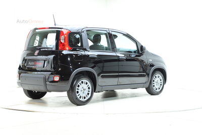 Fiat Panda Tageszulassung