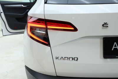 Skoda Karoq Gebrauchtwagen