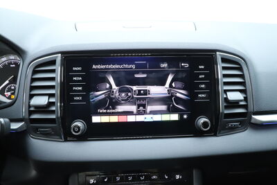 Skoda Karoq Gebrauchtwagen