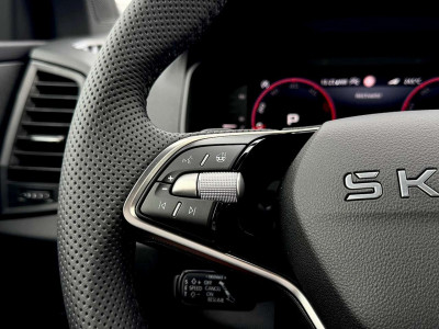Skoda Karoq Tageszulassung