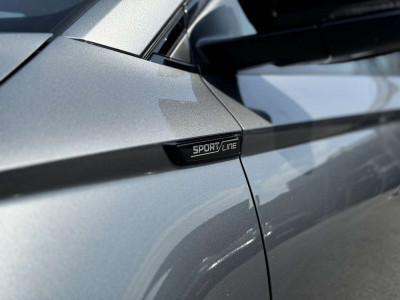 Skoda Karoq Tageszulassung