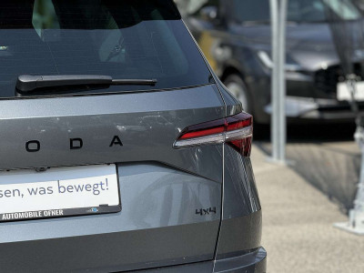 Skoda Karoq Tageszulassung