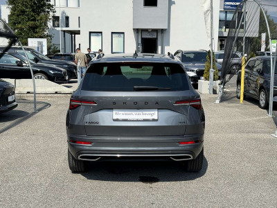 Skoda Karoq Tageszulassung