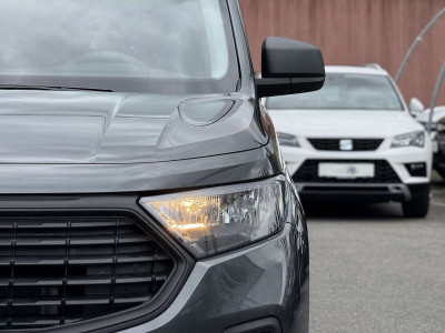 Ford Transit Connect Tageszulassung