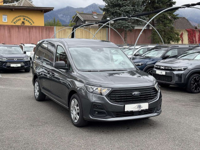 Ford Transit Connect Tageszulassung