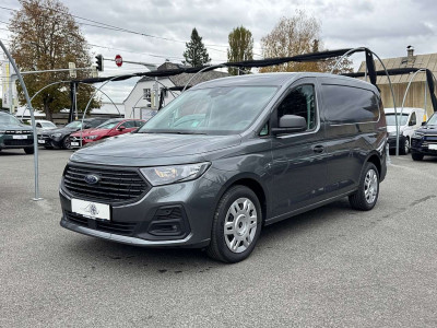 Ford Transit Connect Tageszulassung