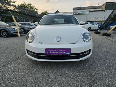 VW Beetle Gebrauchtwagen