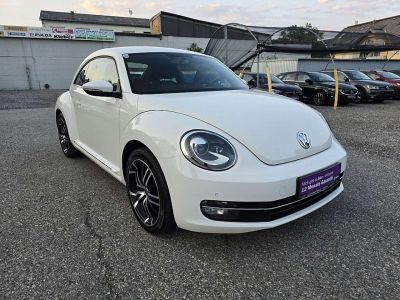 VW Beetle Gebrauchtwagen