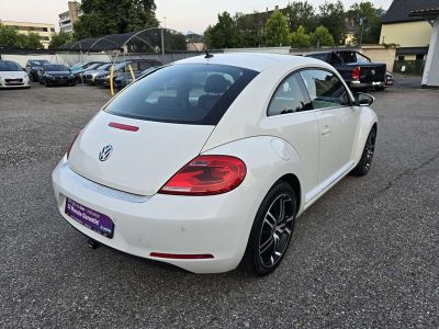 VW Beetle Gebrauchtwagen