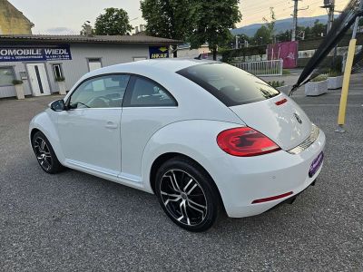 VW Beetle Gebrauchtwagen