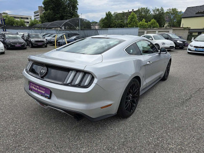 Ford Mustang Gebrauchtwagen