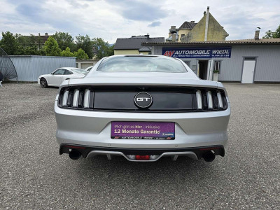 Ford Mustang Gebrauchtwagen