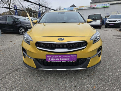 KIA XCeed Gebrauchtwagen KIA XCeed Gebrauchtwagen
