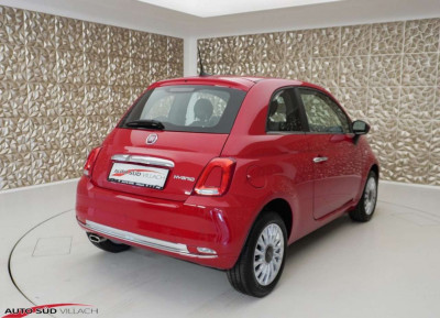 Fiat 500 Gebrauchtwagen