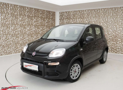 Fiat Panda Gebrauchtwagen