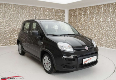 Fiat Panda Gebrauchtwagen