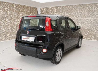 Fiat Panda Gebrauchtwagen