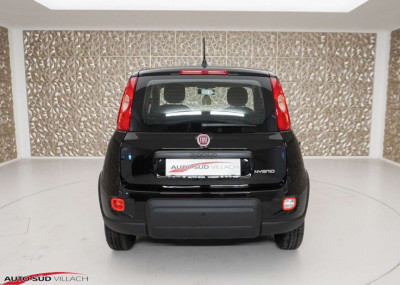 Fiat Panda Gebrauchtwagen