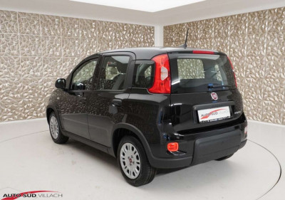 Fiat Panda Gebrauchtwagen