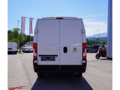 Fiat Ducato Gebrauchtwagen