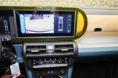 Fiat Grande Panda Vorführwagen