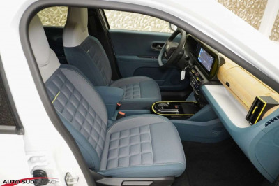 Fiat Grande Panda Gebrauchtwagen