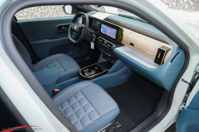 Fiat Grande Panda Gebrauchtwagen