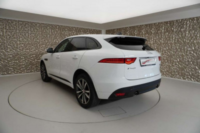 Jaguar F-Pace Gebrauchtwagen