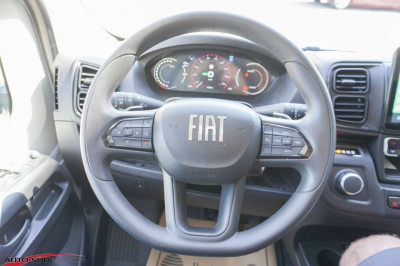 Fiat Ducato Gebrauchtwagen