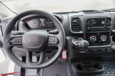 Fiat Ducato Gebrauchtwagen