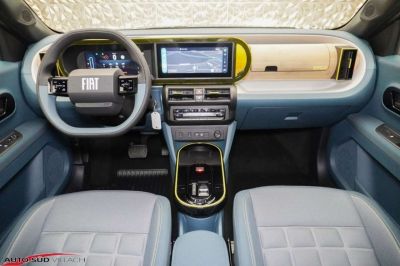 Fiat Grande Panda Gebrauchtwagen