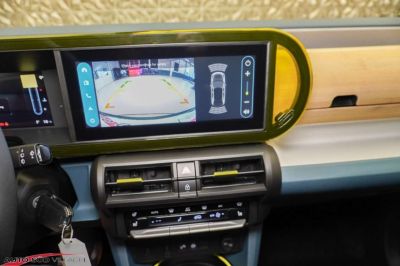 Fiat Grande Panda Gebrauchtwagen