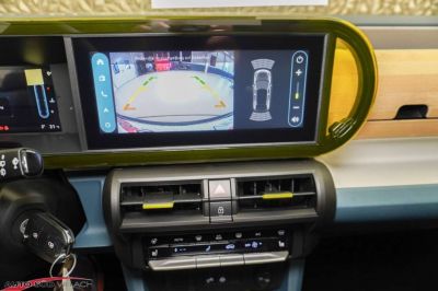 Fiat Grande Panda Gebrauchtwagen