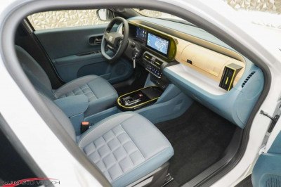 Fiat Grande Panda Gebrauchtwagen