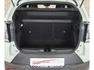 Fiat Grande Panda Gebrauchtwagen