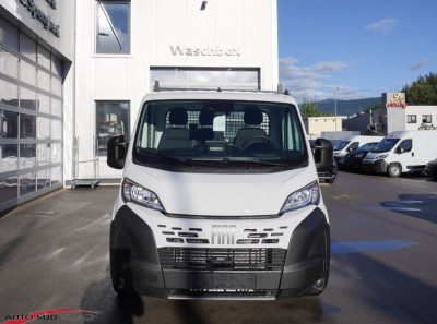 Fiat Ducato Neuwagen