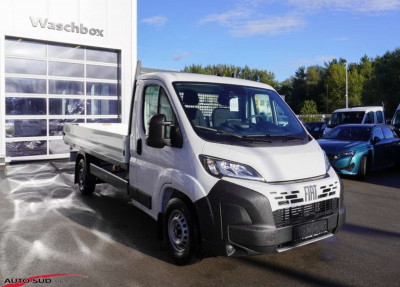 Fiat Ducato Neuwagen