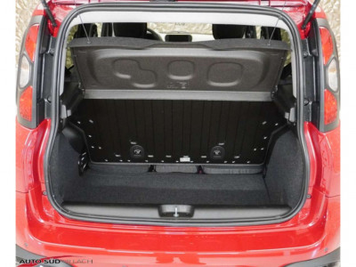 Fiat Panda Neuwagen