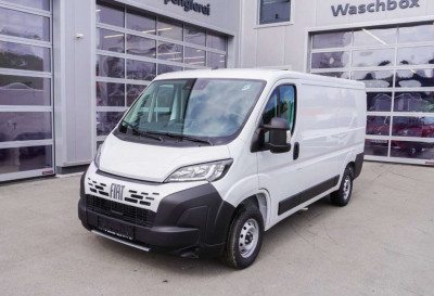 Fiat Ducato Gebrauchtwagen