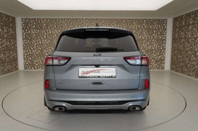 Ford Kuga Gebrauchtwagen Ford Kuga Gebrauchtwagen