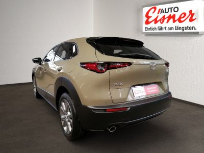 Mazda CX-30 Gebrauchtwagen Mazda CX-30 Gebrauchtwagen