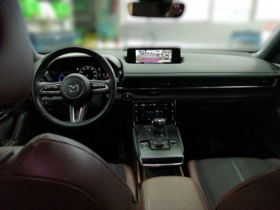 Mazda MX-30 Gebrauchtwagen